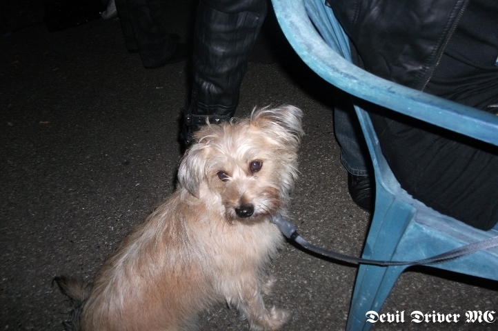 Opa & Bo Geburtstag115.jpg